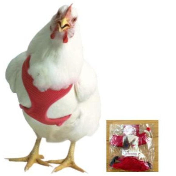 Other - Chicken Harness